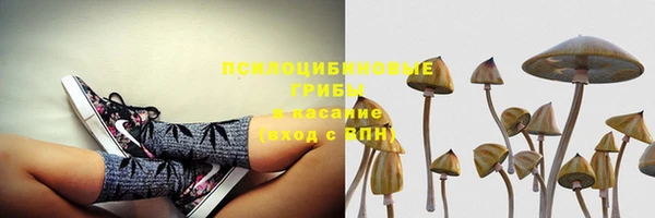 прущие грибы Верхнеуральск