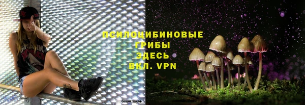 ешки Верхний Тагил