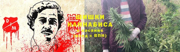 ешки Верхний Тагил