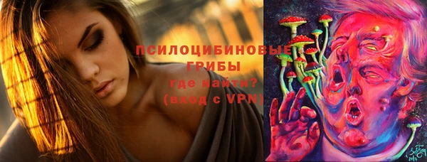 твердый Володарск