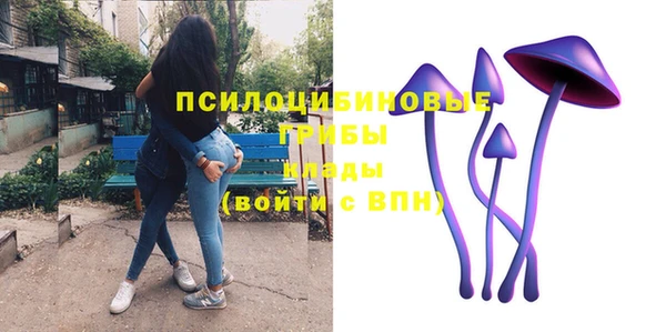 твердый Володарск